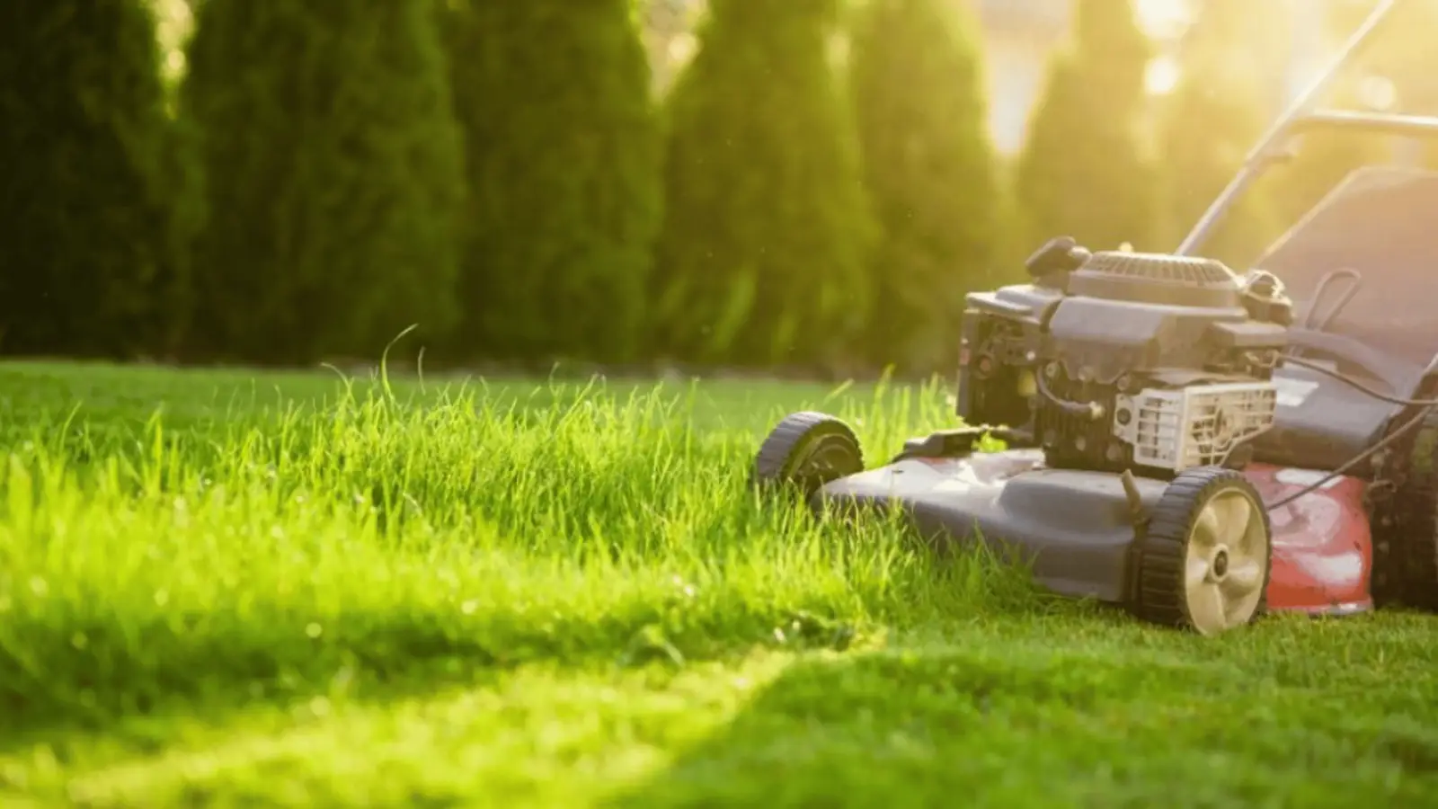 MDA Services — lawn care in Cobbitty
